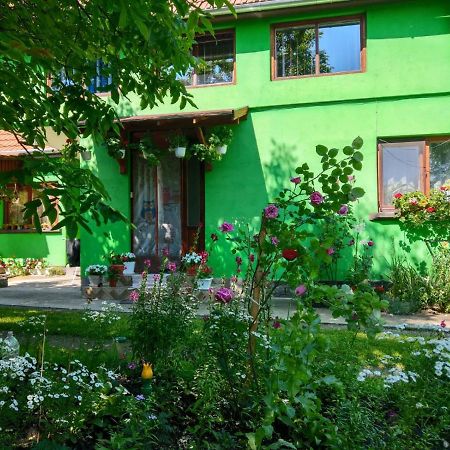 Hotel Csergo Ildiko Vendeghaz Lăzarea Exterior foto