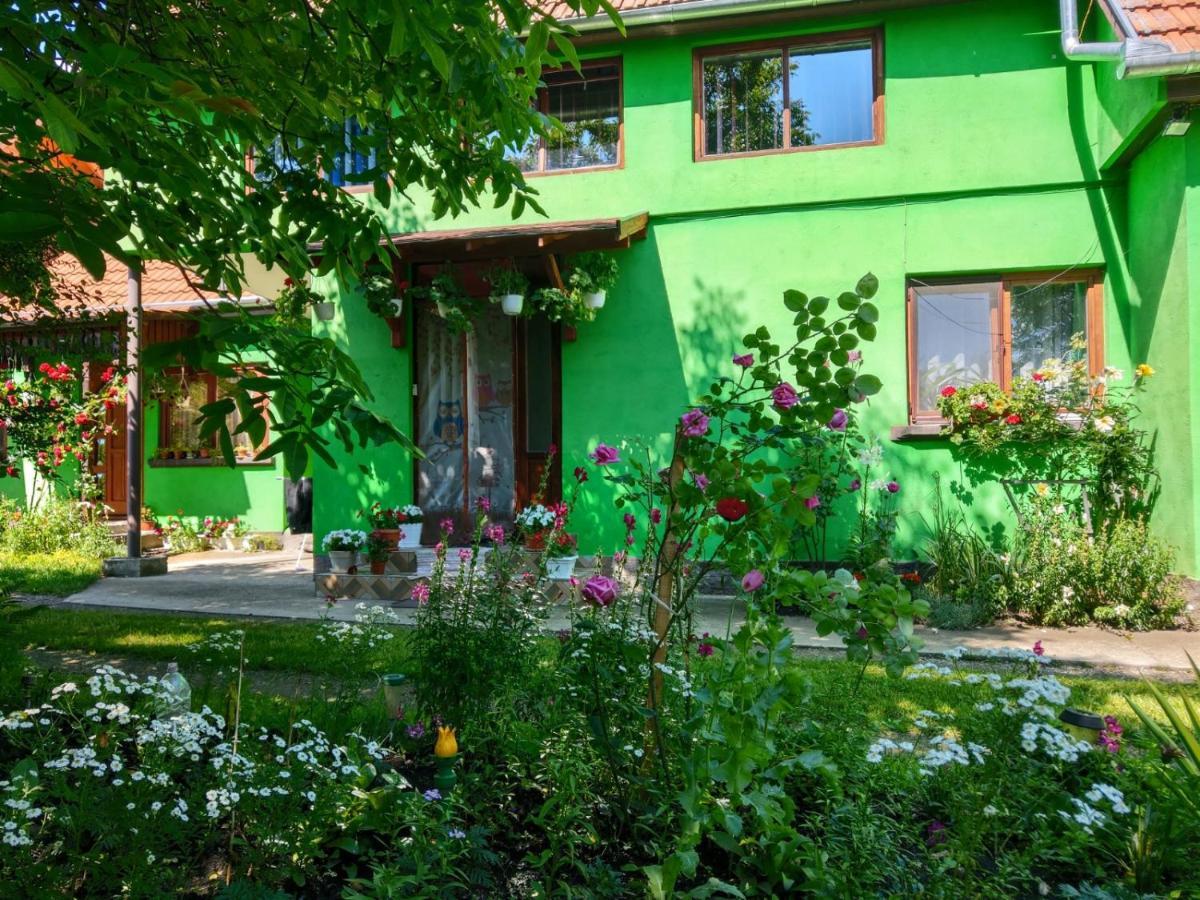 Hotel Csergo Ildiko Vendeghaz Lăzarea Exterior foto