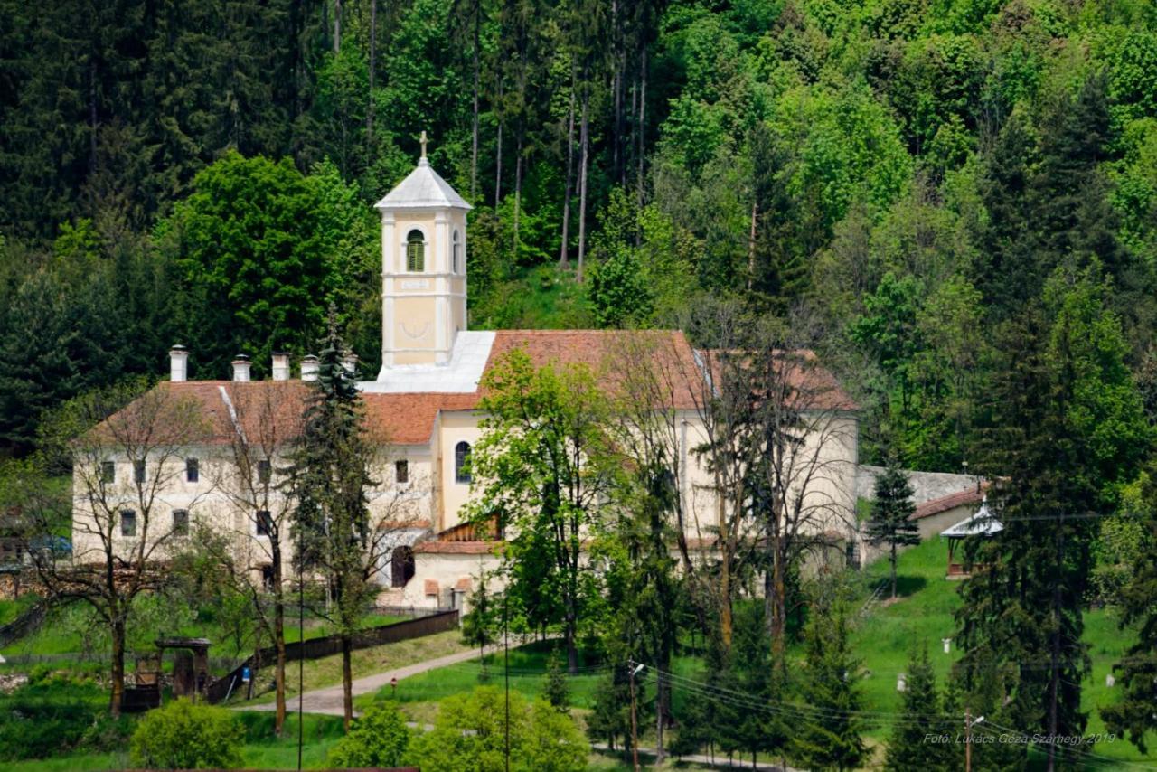 Hotel Csergo Ildiko Vendeghaz Lăzarea Exterior foto